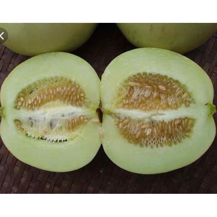 Combo 4 TRIMIX-DT SIÊU RA RỄ 120G - Kích thích ra rễ cực mạnh - Bổ sung vitamin B1 và các hoạt chất