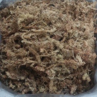 Rêu sâu chile (Dớn  chile) gói 100g hàng 5Stars nhập khẩu giá thể trồng Lan