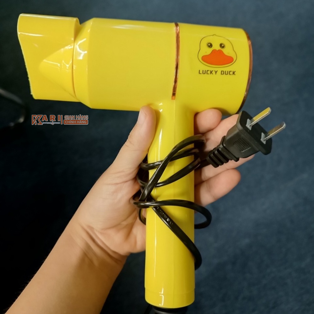 Máy Sấy Tóc Lucky Duck, Sấy Mạnh, 2 Chiều Nóng Lạnh, Không Hư Tổn Tóc