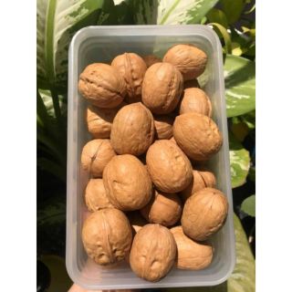 Combo ốc chó ngon tuyệt