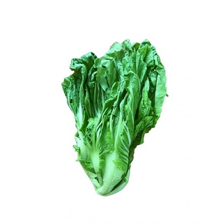 Cải dưa hữu cơ
