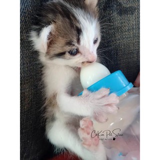 Bộ bình bú sữa cho chó mèo con