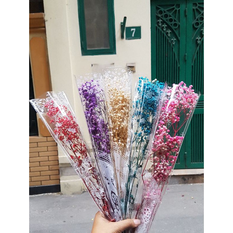 Hoa Baby Khô🌸Gypsophila🌸 Decor VIntage, Chụp Ảnh