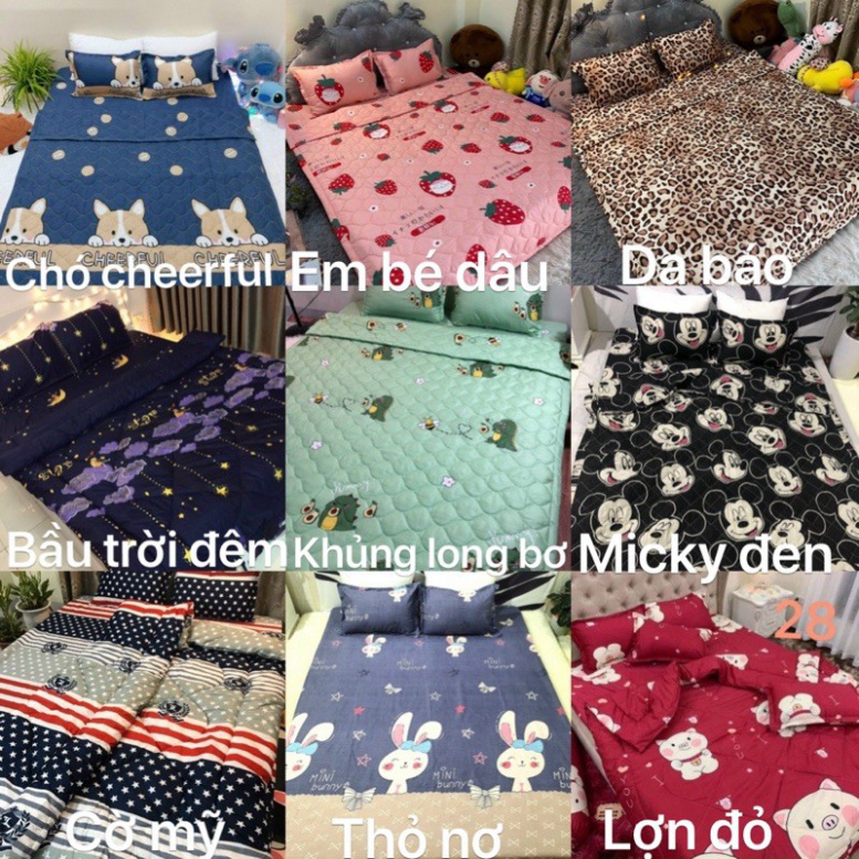 Bộ 1 Ga chun và 2 vỏ gối Cotton poly, chat chọn mẫu. | BigBuy360 - bigbuy360.vn