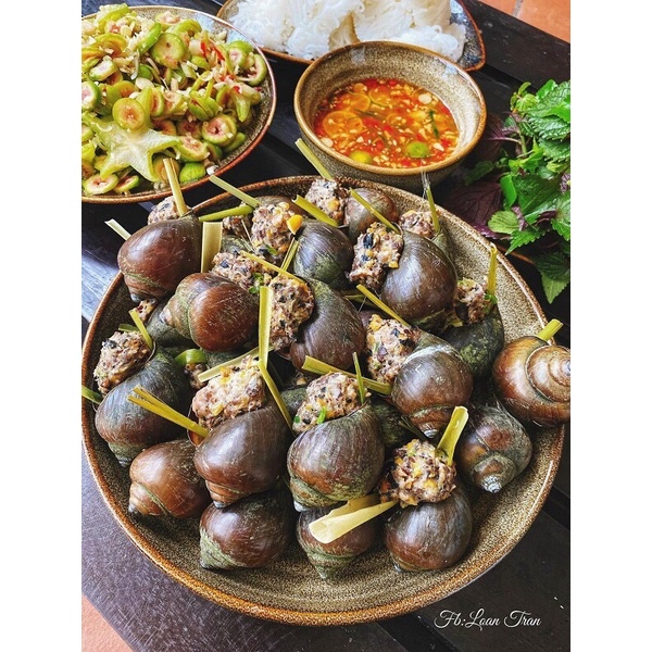 [HỎA TỐC SG] Ốc bưu nhồi thịt thơm ngon hấp chấm mắm gừng