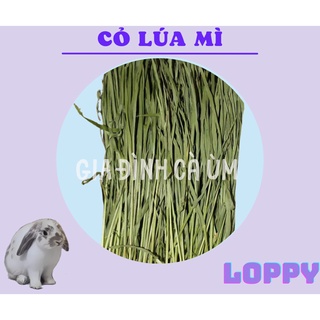 [TẶNG 1 viên oxbow cho đơn từ 50k]Cỏ lúa mì ăn vặt cho thỏ/chuột lang