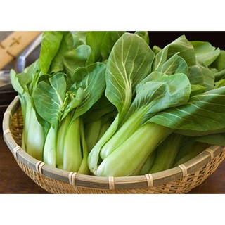 Hạt Giống Cải Thìa Thượng Hải