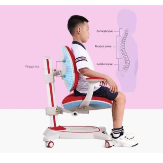 [CHÍNH HÃNG] GHẾ CHỐNG GÙ CAO CẤP C21A mẫu mới nhất 2020_GHẾ CHỐNG GÙ K2 | BigBuy360 - bigbuy360.vn