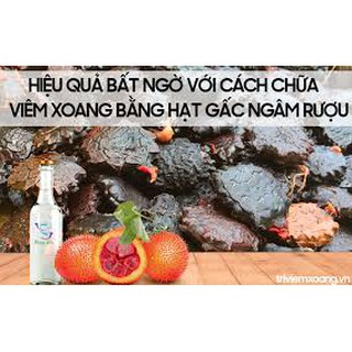 hạt gấc phơi khô 1 ký