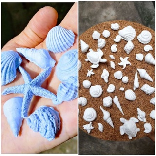 Bộ 10-20 Vỏ Sò, ốc, rùa, sao biển,.. tự vẽ màu trang trí, decor Nến, ly, cốc, vật dụng - 9293store
