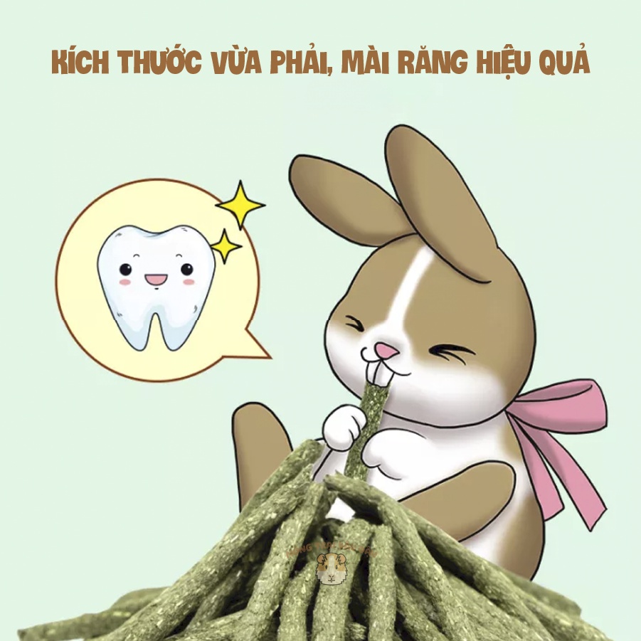 Que Cỏ Dinh Dưỡng Izzo Thức Ăn Cho Thỏ, Bọ Ú, Chinchilla 55g - IZ02