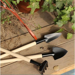 Bộ dụng cụ làm vườn mini 3 món