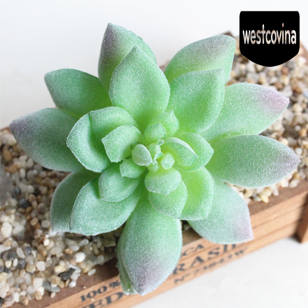 [Hot]☀ Chậu Cây Bonsai Mini Nhân Tạo Để Bàn Trang Trí Tiệc Cưới / Nội Thất Nhà