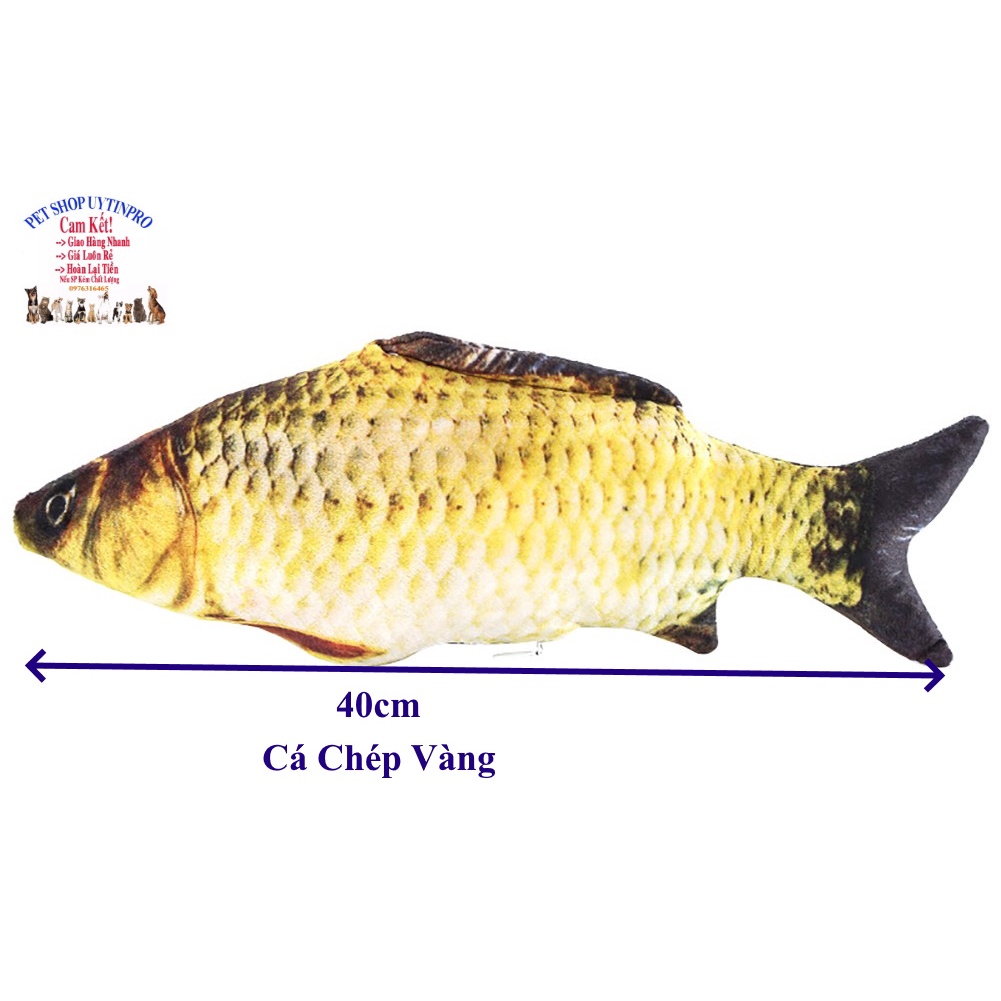 Đồ chơi cá nhồi bông siêu to kèm cỏ catnip cho Chó Mèo Chất liệu vải mềm Dài 40cm Giúp thú cưng thư giãn, Xả stress