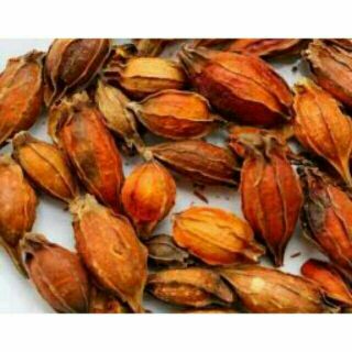 100g chi tử tạo màu