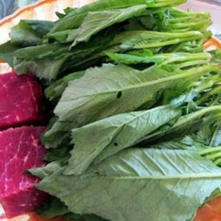 100h Hạt Giống Cải Trời NẢY MẦM TỐT &gt;85%