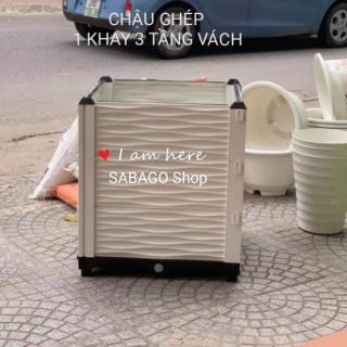 Chậu trồng rau thông minh 1 khay 3 tầng vách