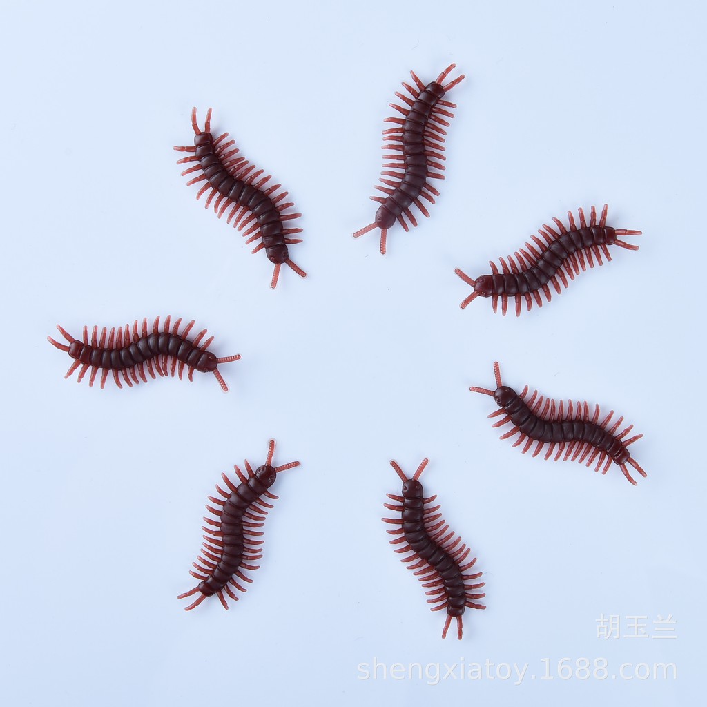 CON RẾT GIẢ côn trùng giả dùng để trang trí hoặc chơi khăm troll bạn bè