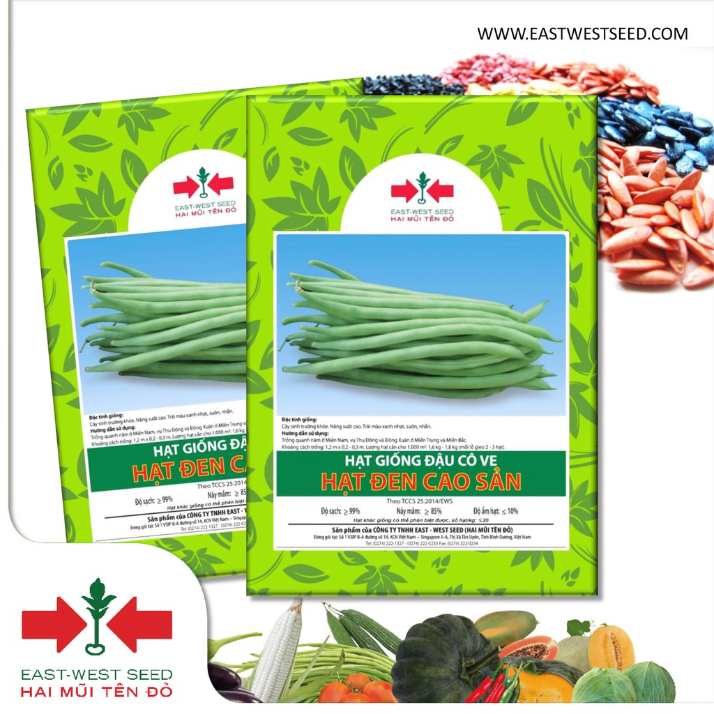 BỘ 2 GÓI 40 HẠT ĐẬU CÔ VE HẠT ĐEN CAO SẢN CỦA EAST-WEST SEED