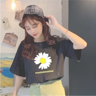Áo thun nữ hoa cúc peace