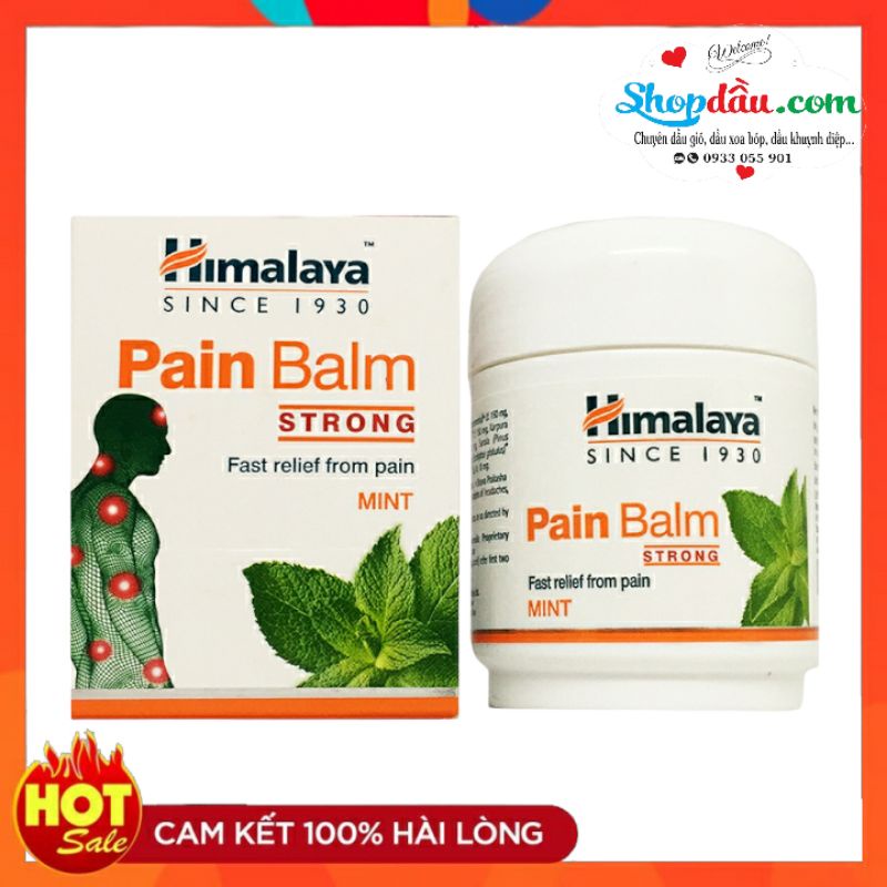 Dầu cù là xoa bóp Himalaya Pain Balm