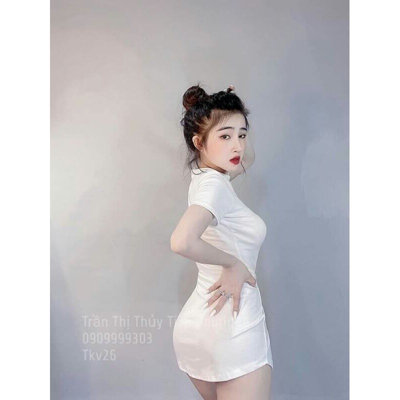 Váy body zip đuôi tôm chất đẹp Quảng Châu
