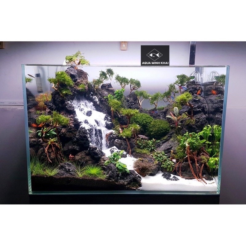 Đá Đen Gia Lai - Setup Bể Thuỷ Sinh, Trang Trí Bể Cá, tiểu cảnh terrarium, chậu cây [1KG]