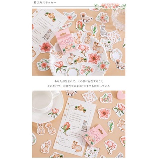 Bộ 45 Sticker Mèo Và Hoa E117