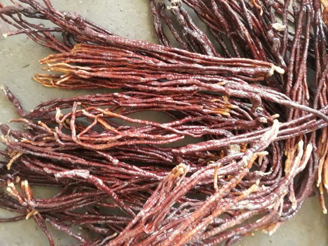 Nấm Sừng Hươu Tây Bắc [1kg] chuẩn rừng Tây Bắc