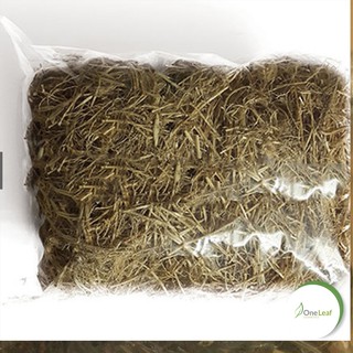 Cây mặt quỷ 1Kg T039