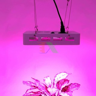 Đèn Led trồng cây 300W