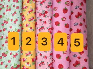 VẢI THÔ KATE 🍓 V153