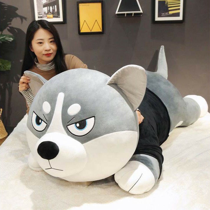 Chó Husky Bông Siêu To Khổng Lồ - Gấu Bông Husky Cao Cấp - Gấu Xinh - G02