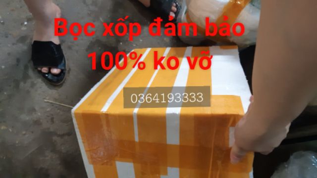 bình thủy tinh ngâm rượu 10 lít không vòi