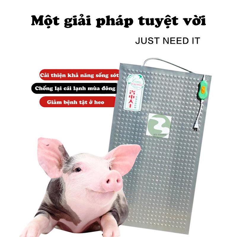 Tấm sưởi nhiệt cho heo DN02