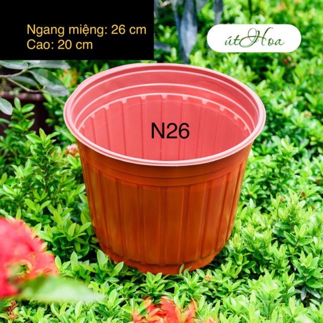 [ Sll giá rẻ] Chậu nhựa nâu N26 (26x20 cm) dày cứng, bóng đẹp