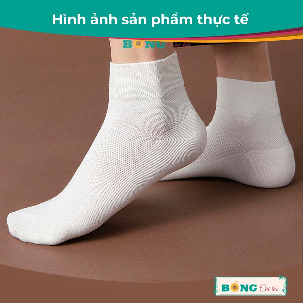 Tất nữ cổ ngắn nhiều màu chất cotton mềm mịn, co giãn 4 chiều phong cách Hàn Quốc TC30 - Vớ BÔNG Cài Tóc