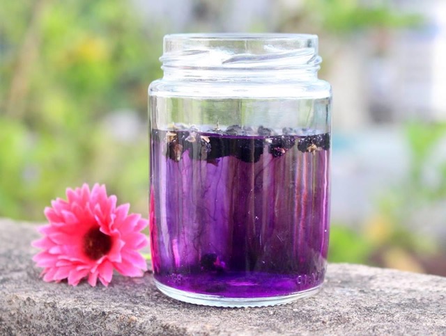 Hắc kỷ tử hoang dã (hạt to mẩy)