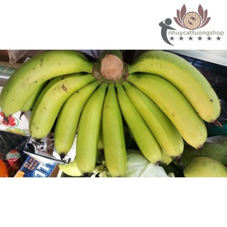 Chuối laba Đà Lạt thơm ngon dẻo bùi, hảo hạng