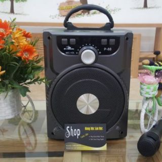 Loa gỗ P88 chính hãng Kiomic  tặng kèm mic có dây karaoke