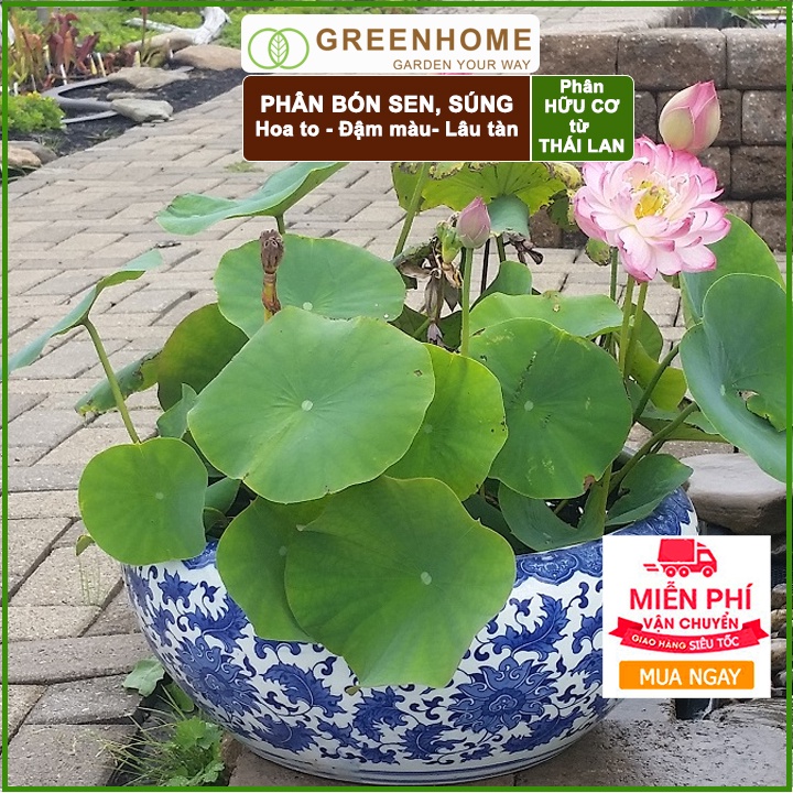 Phân bón hoa Sen, vỉ 14 viên, cây thuỷ sinh, ngập nước, cho hoa to, hoa đậm màu, lâu tàn, tốt lá |Greenhome