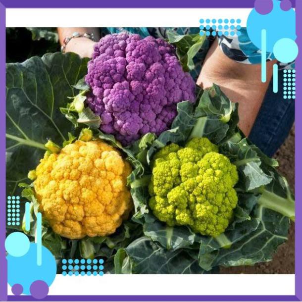 hạt giống rau Súp Lơ Mix .