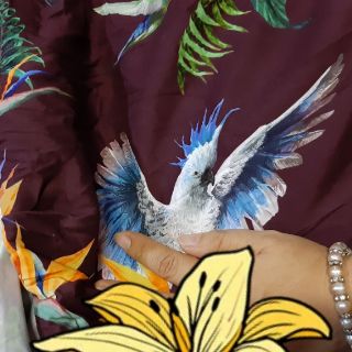 Vải thô cotton họa tiết
