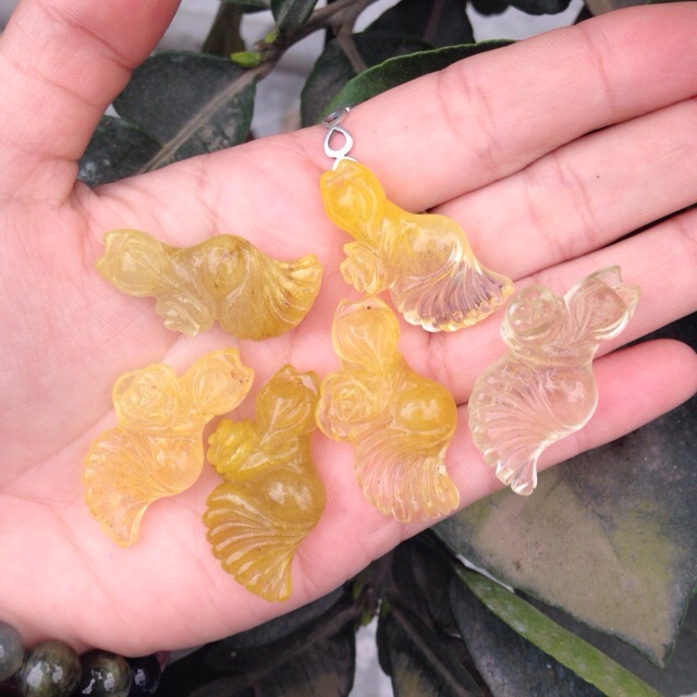 Hồ ly tóc dáng xoè