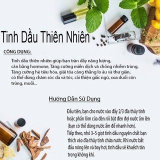 Tinh Dầu Bạc Hà  Eyun (Peppermint) lọ 10ml [ Chính Hãng]
