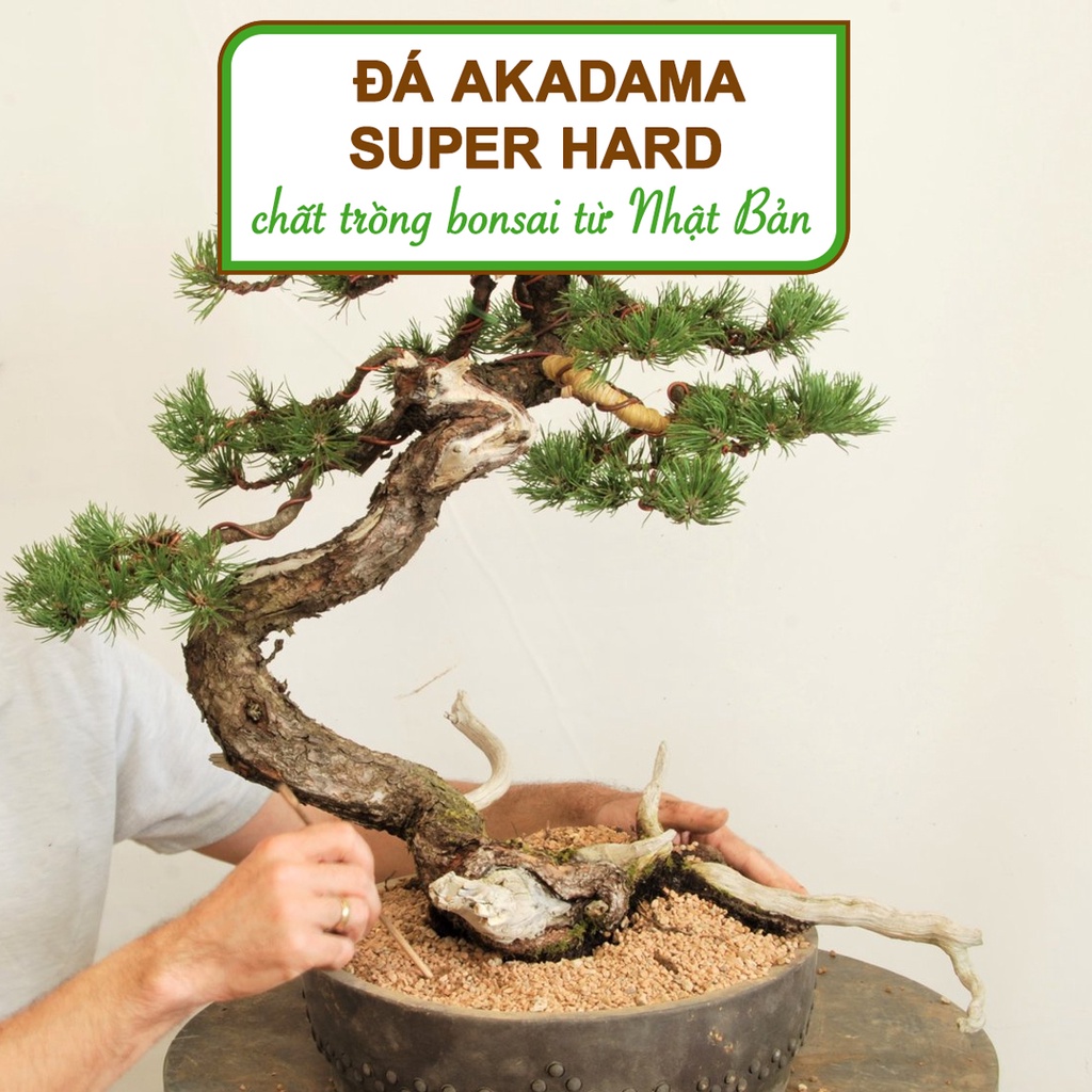 Đất akadama Greenhome, bao 14 lít, super hard, phân nền thủy sinh, giá thể bonsai, sen đá, nhiều size lựa chọn