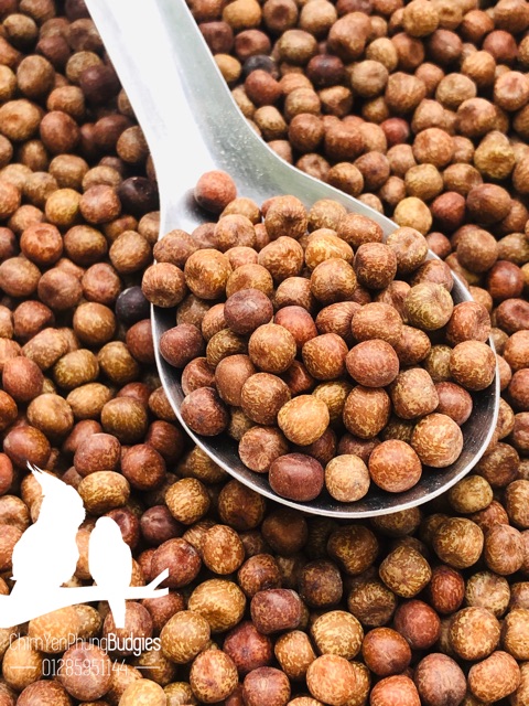 1KG ĐẬU LĂNG XANH (ĐẬU TRUNG HOA)