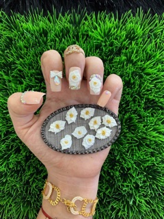 Hoa bột ôm móng NN