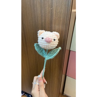 Bông Hoa Heo Hồng 🐷🌸