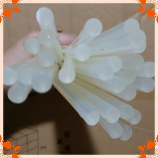 5 cây keo nến bé (25 cm) loai tốt